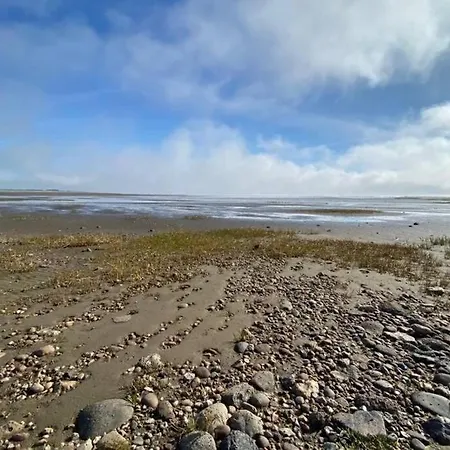 Daire Gammelt Mando Hus Hyggebo Ribe