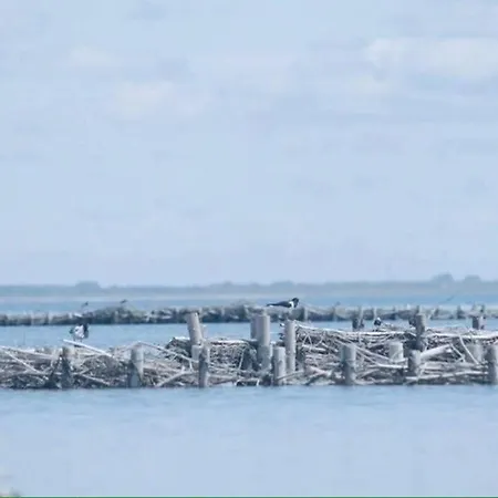 Apartamento Gammelt Mando Hus Hyggebo Ribe